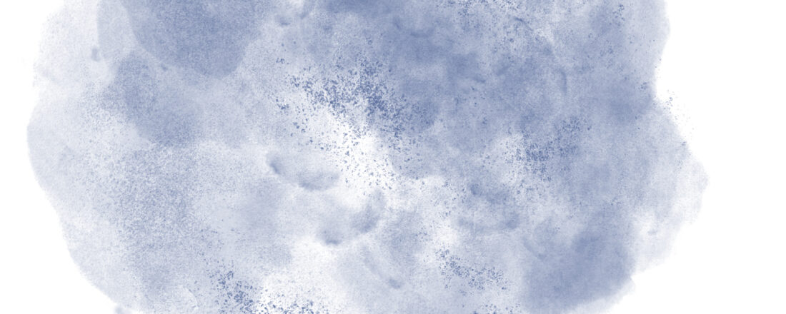 PhotographicArtisanStainBrush