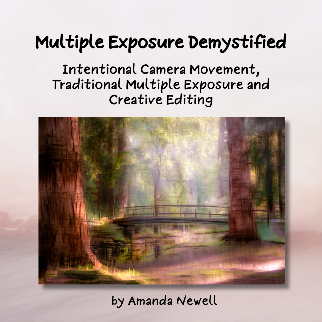 Multiple Exposure Demystified, ICM, Traditional Multiple Exposure ...