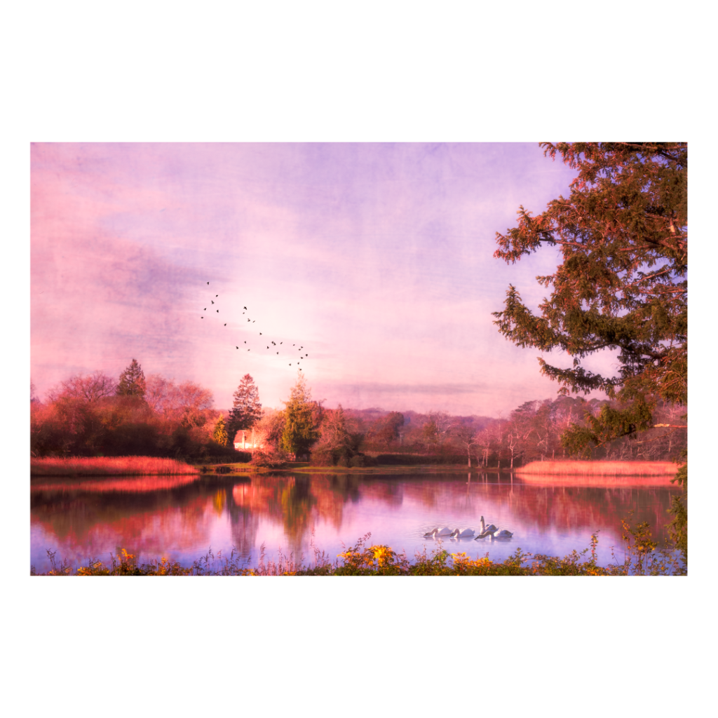 The Mill Pond, Beaulieu, The New Forest on a morning of purple winter skies. A re-imagined image created from a photography and then recreated into artwork. Available as a giclee print and greeting card designed to be kept as all work is printed on 100% cotton fine art paper.