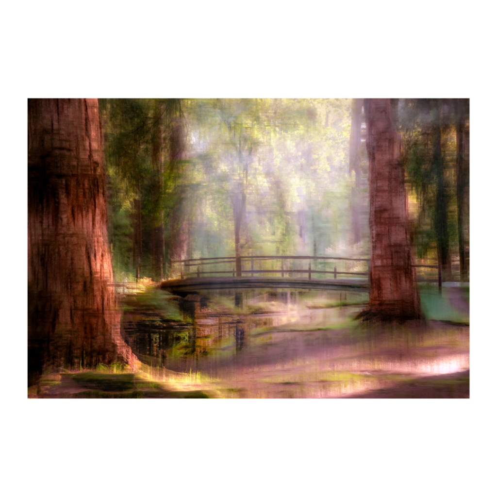 The bridge at Blackwater, Rhinefield Ornamental Drive, The New Forest. Captured with multiple exposure ICM camera technique. Available as a greeting card, A4 or A3 giclee print using fine art, artsure paper.